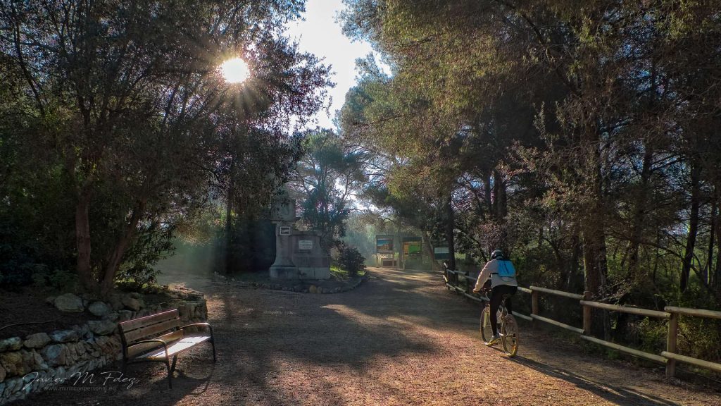 Parc Ecohistòric del Pont del Diable