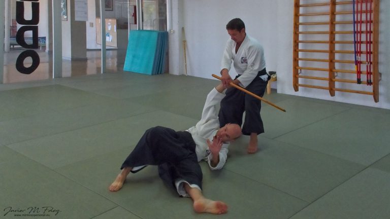 aikido, budo, Aikido Dento Iwana Ryu