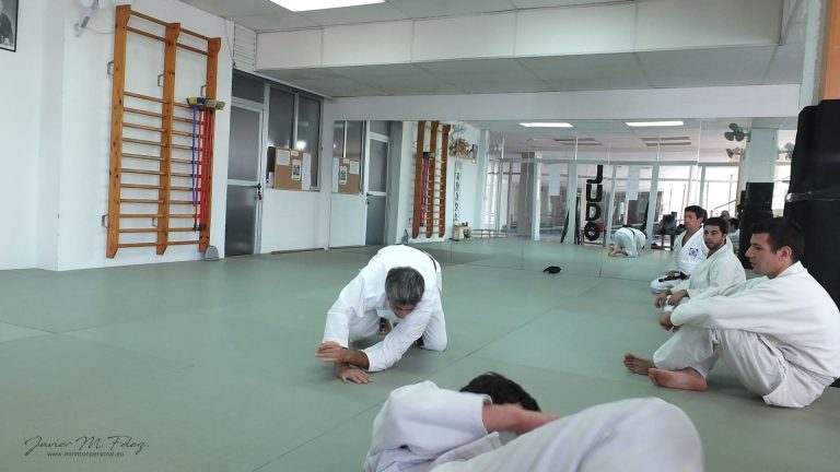 aikido, budo, Aikido Dento Iwana Ryu